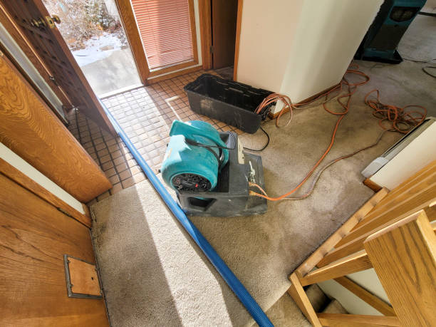 Best Commercial water damage restoration  in Cos Co, CT