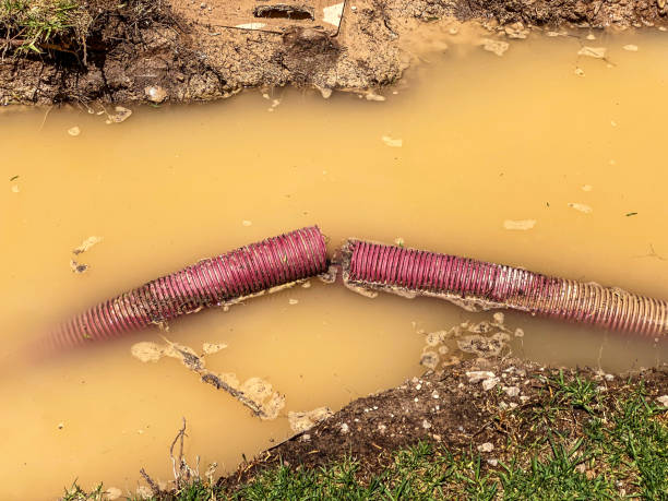 Best Basement water damage restoration  in Cos Co, CT